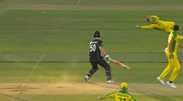 Steve Smith catch vs New Zealand: Watch Smith flies in air to grab one-handed catch to dismiss Tom Latham