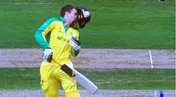 WATCH: Alex Carey gets hit by vicious bouncer off Jofra Archer during second semi final of 2019 Cricket World Cup
