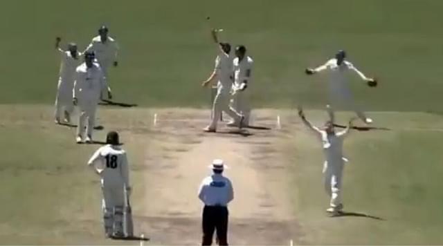 WATCH: Steve Smith dismisses Josh Inglis in atypical manner in Sheffield Shield