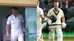 David Warner triple century: Why Tim Paine declared Australian innings with Warner at 335*