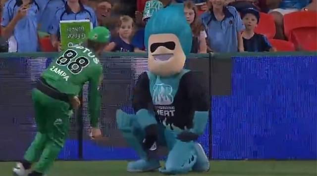WATCH: Adam Zampa scares Brisbane Heat mascot during BBL 2019 match at Carrara Oval