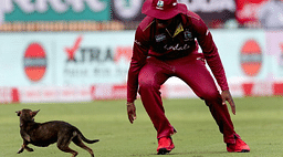 India vs West Indies Stray Dog invades ground and brings play to a halt