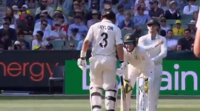 "He knows the bloke in the truck": Tim Paine sledges Ross Taylor at MCG