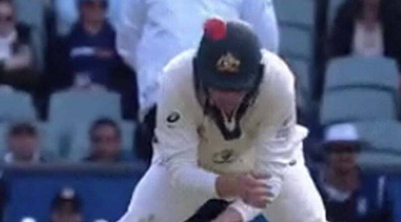 Marnus Labuschagne hit on the helmet: Watch Mohammad Rizwan's pull hits Australian fielder at short leg