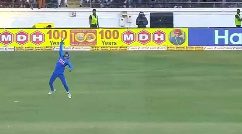 WATCH: Manish Pandey grabs one-handed screamer to dismiss David Warner in Rajkot ODI
