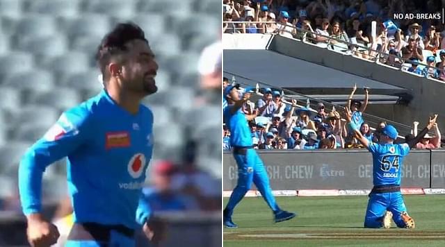WATCH: Rashid Khan dismisses Mohammad Nabi as Peter Siddle grabs incredible catch in BBL 2019-20