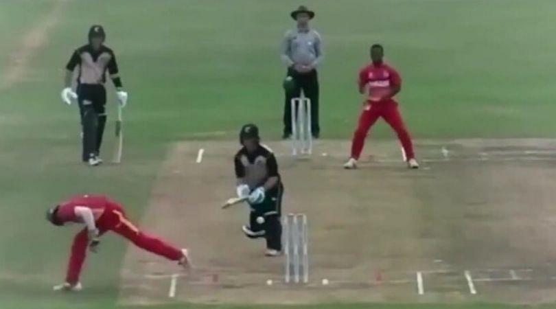 WATCH: Dane Schadendorf affects magnificent stumping in Zimbabwe vs New Zealand U-19 Quadrangular series match