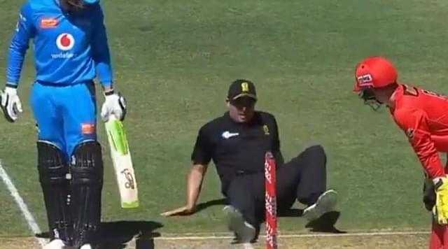 WATCH: Umpire Shawn Craig slips after setting the bails in Strikers vs Renegades BBL match