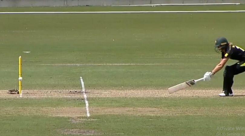WATCH: Meg Lanning survives after Shikha Pandey's throw hits stump mic cables