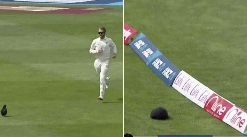 WATCH: Kane Williamson amusingly chases cap to the boundary in Wellington Test