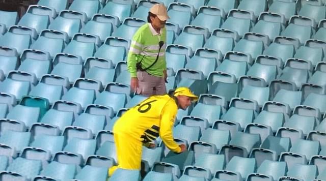 WATCH: Ashton Agar looks out for ball in empty stands during AUS vs NZ Sydney ODI