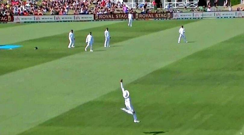 Ravindra Jadeja catch vs New Zealand: Watch Indian all-rounder grabs screamer to dismiss Neil Wagner in Christchurch Test