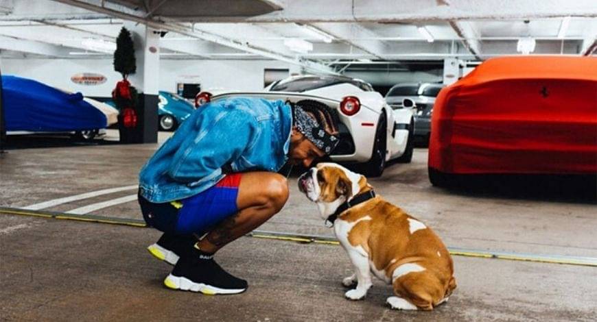 Lewis Hamilton Coco: F1 driver's 6 year old dog dies of heart attack