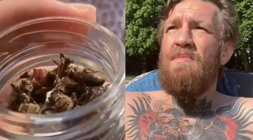Watch Conor McGregor eats dead bees for breakfast