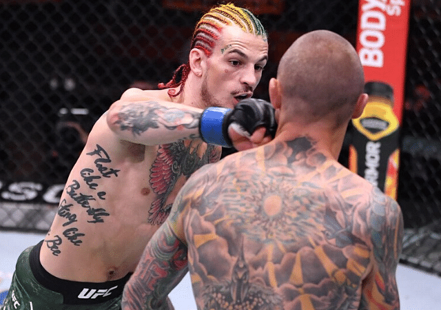 Watch Sean O’Malley stuns everyone with one punch, walk off knockout