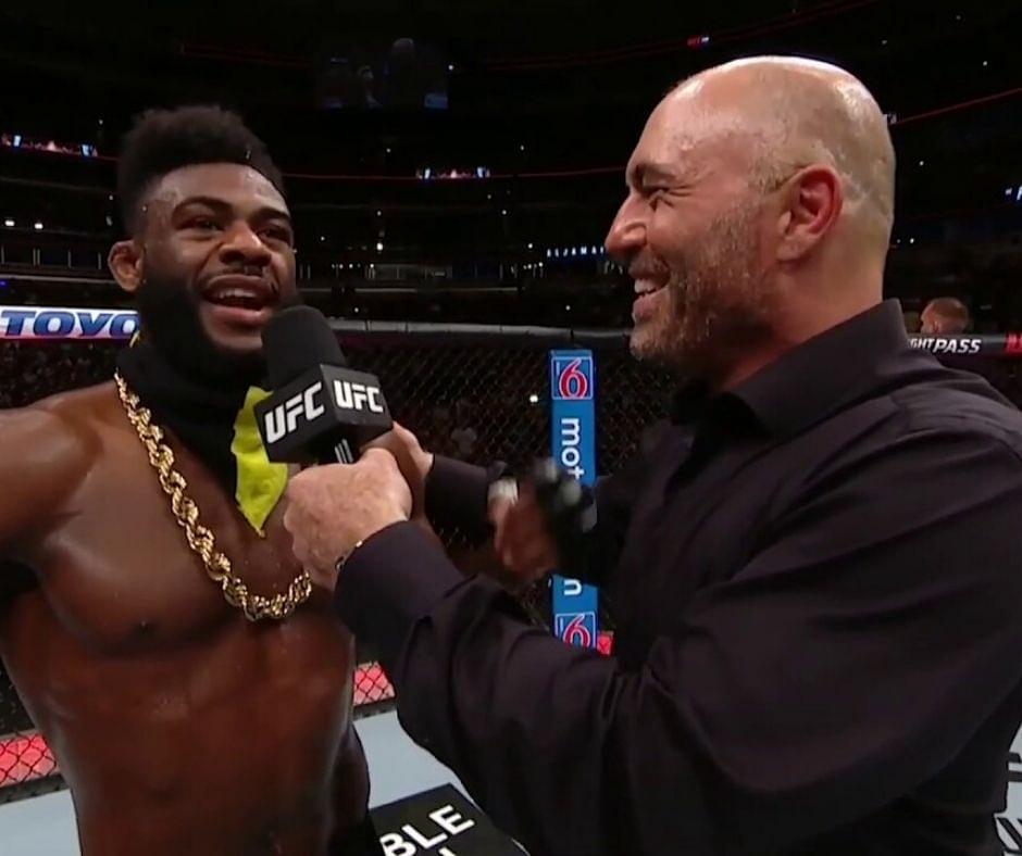 Dana White Refuses To Acknowledge Aljamain Sterling as the No.1 Contender For The Bantamweight Title