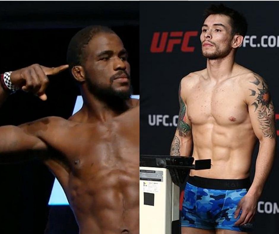 UFC News: Corey Anderson and Ray Borg are Released By UFC