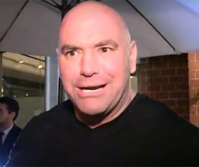 Dana White's contender Series: Watch Dana White's Startling Reaction To This Incredible KO