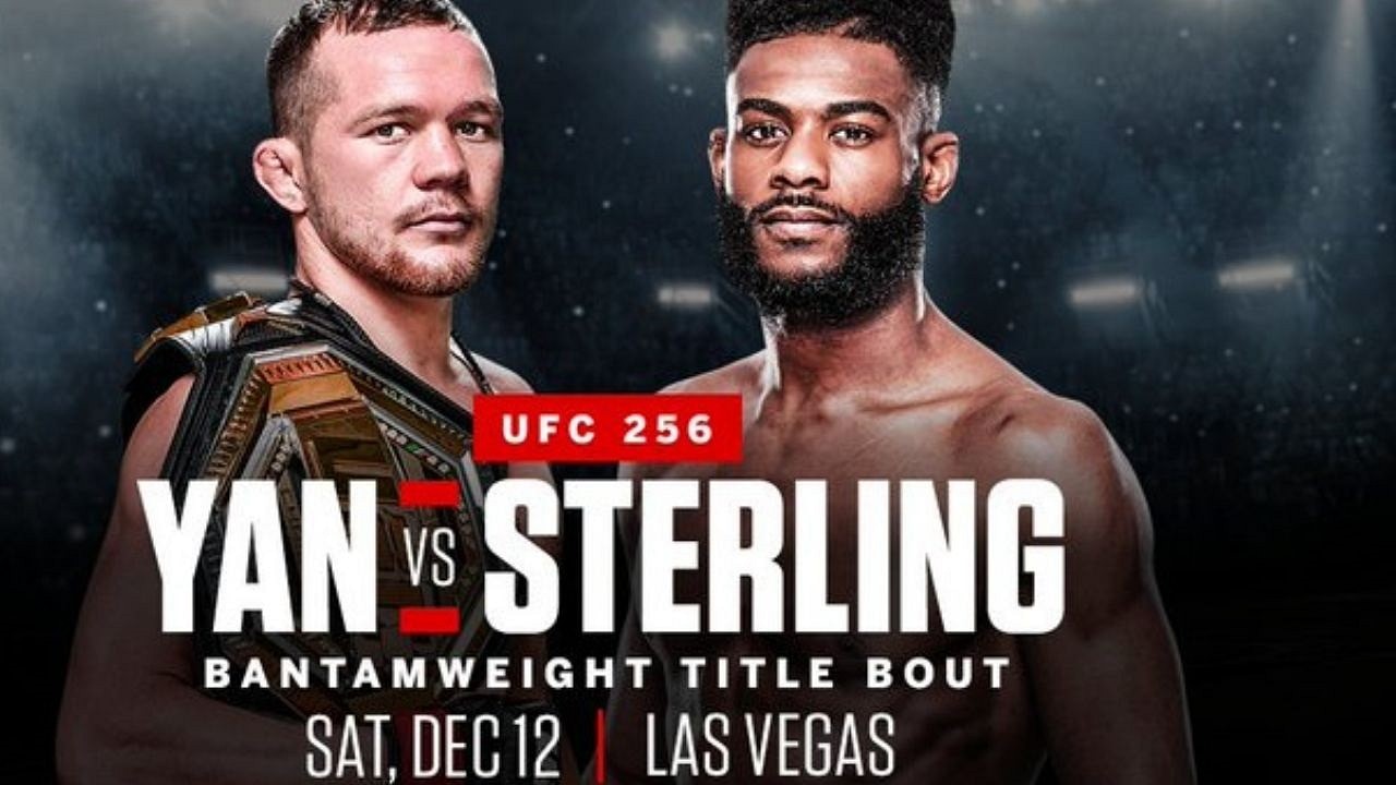 Image result for petr yan vs aljamain sterling