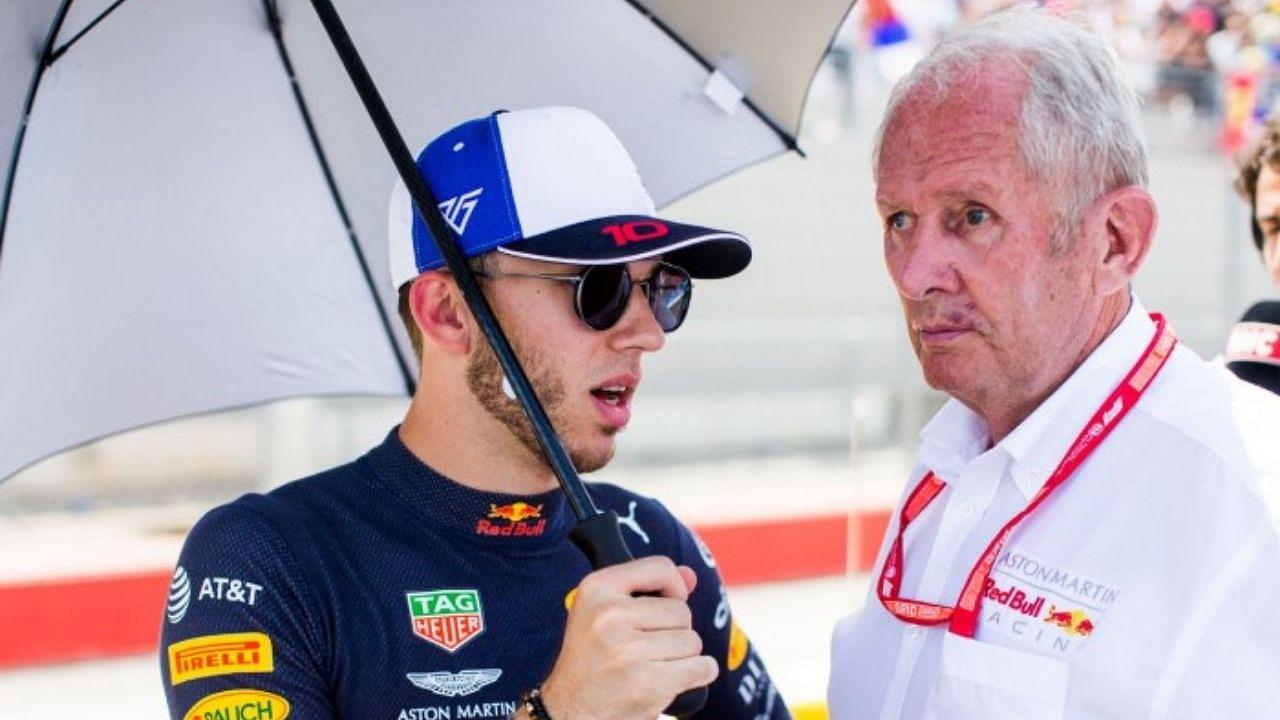"We have made our decision"- Helmut Marko reveals Pierre Gasly's future with the team and new teammate