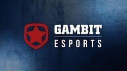 DOTA 2 ROSTERS: Gambit Esports announces its new Dota 2 roster