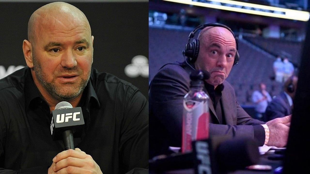 Dana White Provides a Minor Detail of Joe Rogan's Contract With The UFC