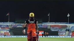 Rashid Khan run-out vs RCB: R Ashwin, Irfan Pathan and others left amazed as SRH spinner runs out Moeen Ali on free-hit