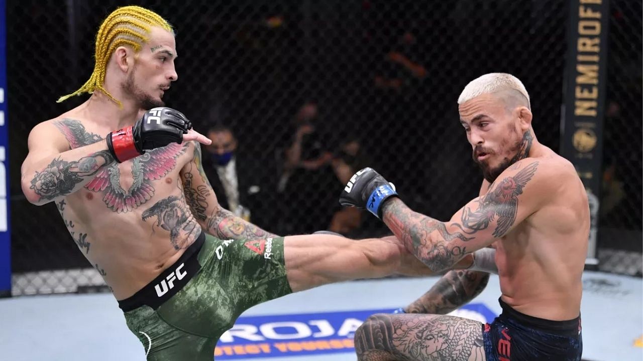 I feel like I'm just a different level fighter': Sean O'Malley reveals why he is not interested in a rematch with Marlon Vera | The SportsRush