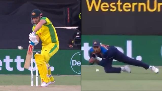 Shikhar Dhawan drops Aaron Finch: Watch Indian opener puts down Australian captain in Canberra ODI