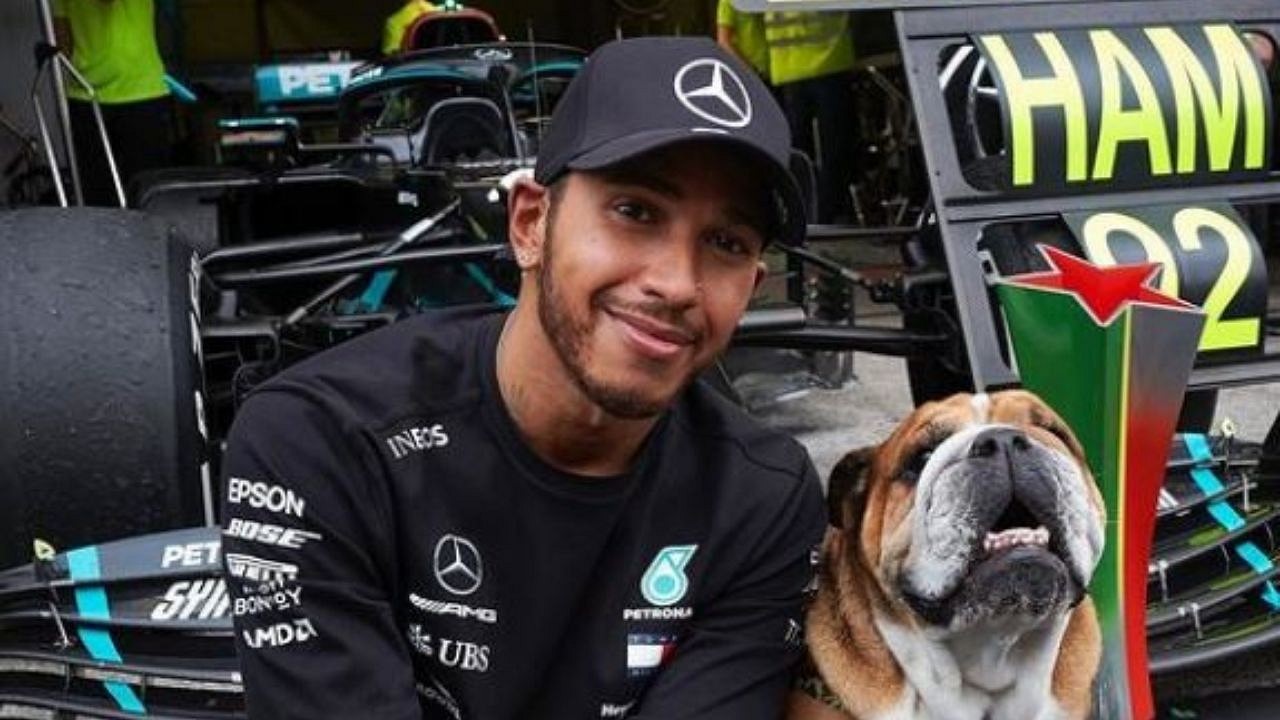 "He Said It's A Bit Better Today"- Lewis Hamilton Makes Drastic ...