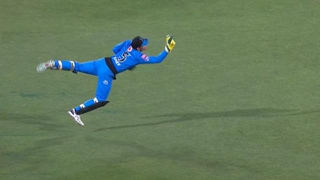 Alex Carey catch today: Strikers captain grabs outstanding diving catch to dismiss Liam Livingstone in BBL 10