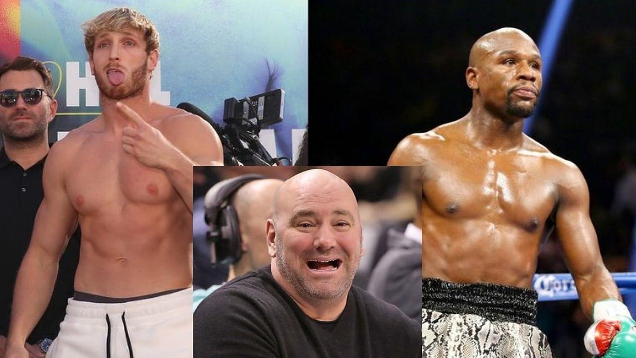 Floyd Mayweather Vs. Logan Paul: Dana White once again criticizes the state of boxing
