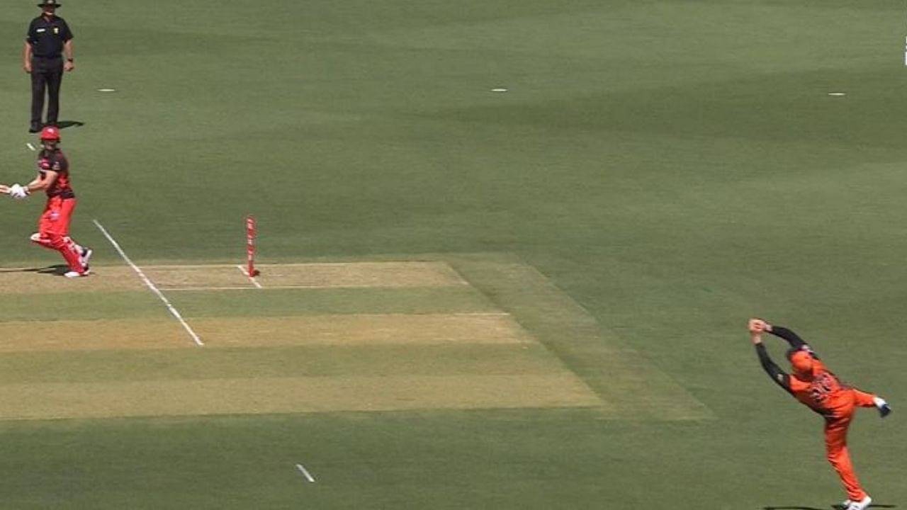 Jason Roy catch: Watch Scorchers batsman grabs absolute stunner to dismiss Shaun Marsh in BBL 10
