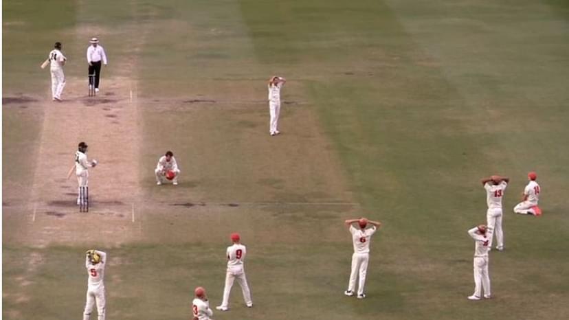 Western Australia vs South Australia: Liam O'Connor barely manages to survive against Chadd Sayers in Sheffield Shield cliffhanger