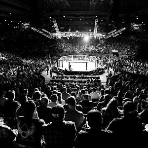ufc 241 reddit stream free