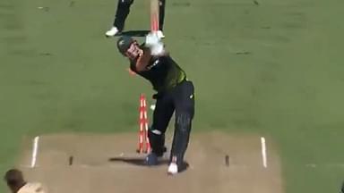 Mitchell Marsh dismissal today: Tim Southee castles Marsh with pinpoint yorker in Wellington T20I