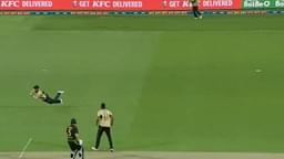 "What a catch": Kane Williamson dives to his right to dismiss Marcus Stoinis off Ish Sodhi in 4th T20I