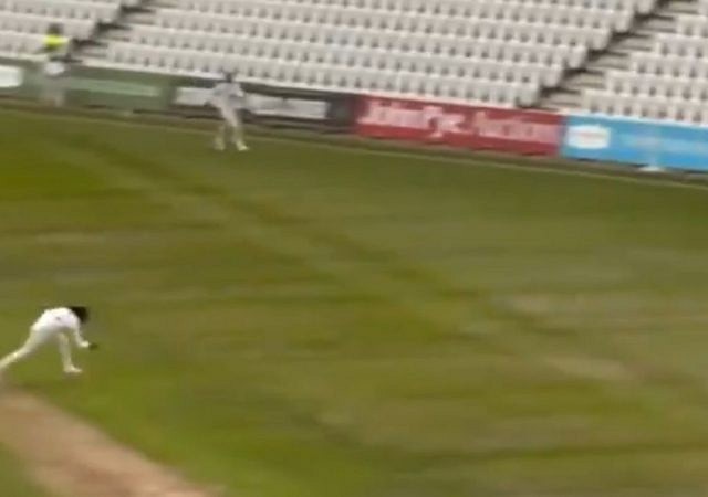 Hanuma Vihari catch vs Nottinghamshire: Indian batsman grabs splendid catch to dismiss Steven Mullaney on Warwickshire debut