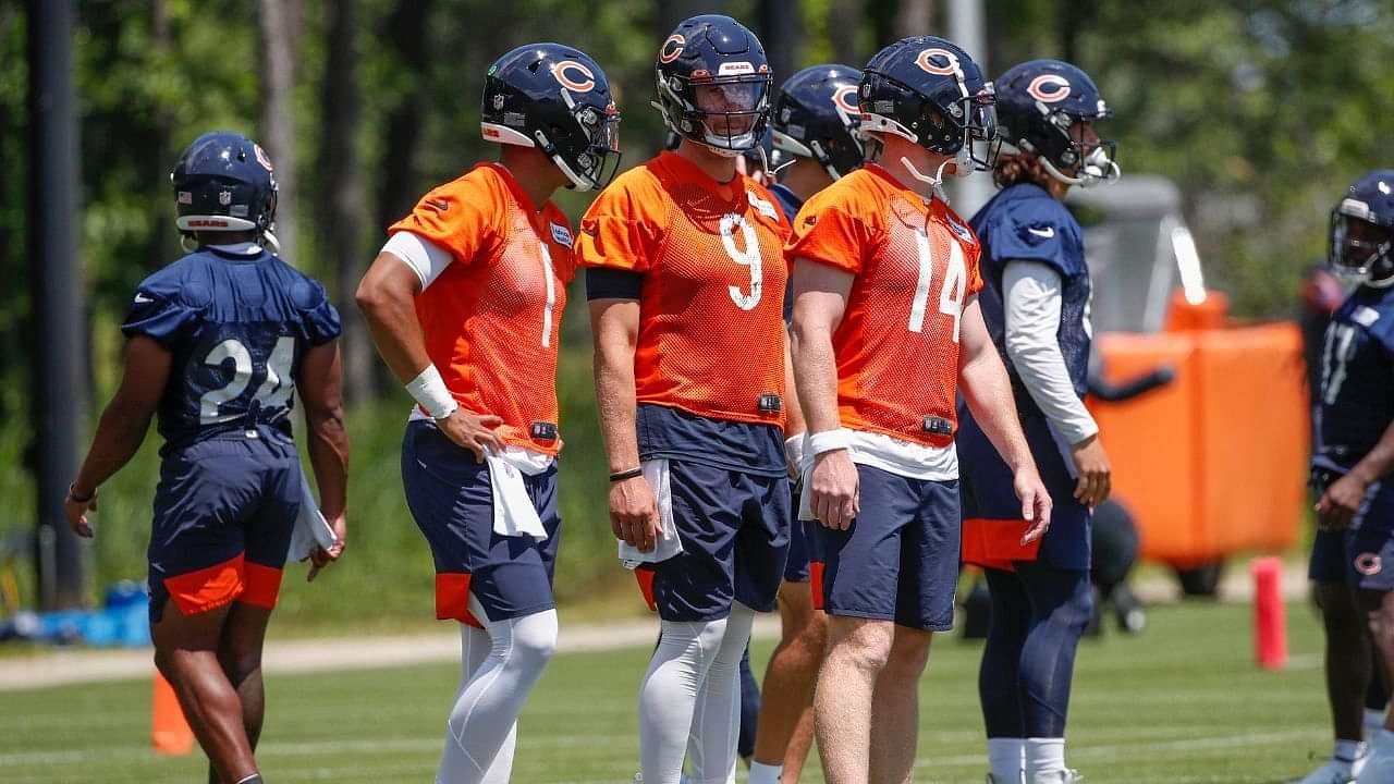 Bears will host fans at training camp