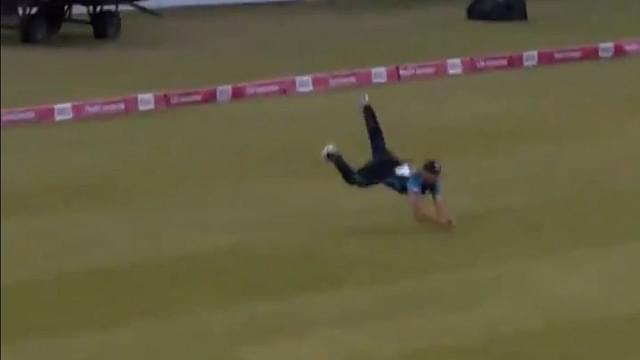 Ross Whiteley catch vs Northamptonshire: Watch Worcestershire player grabs magnificent diving catch to dismiss Ricardo Vasconcelos in T20 Blast