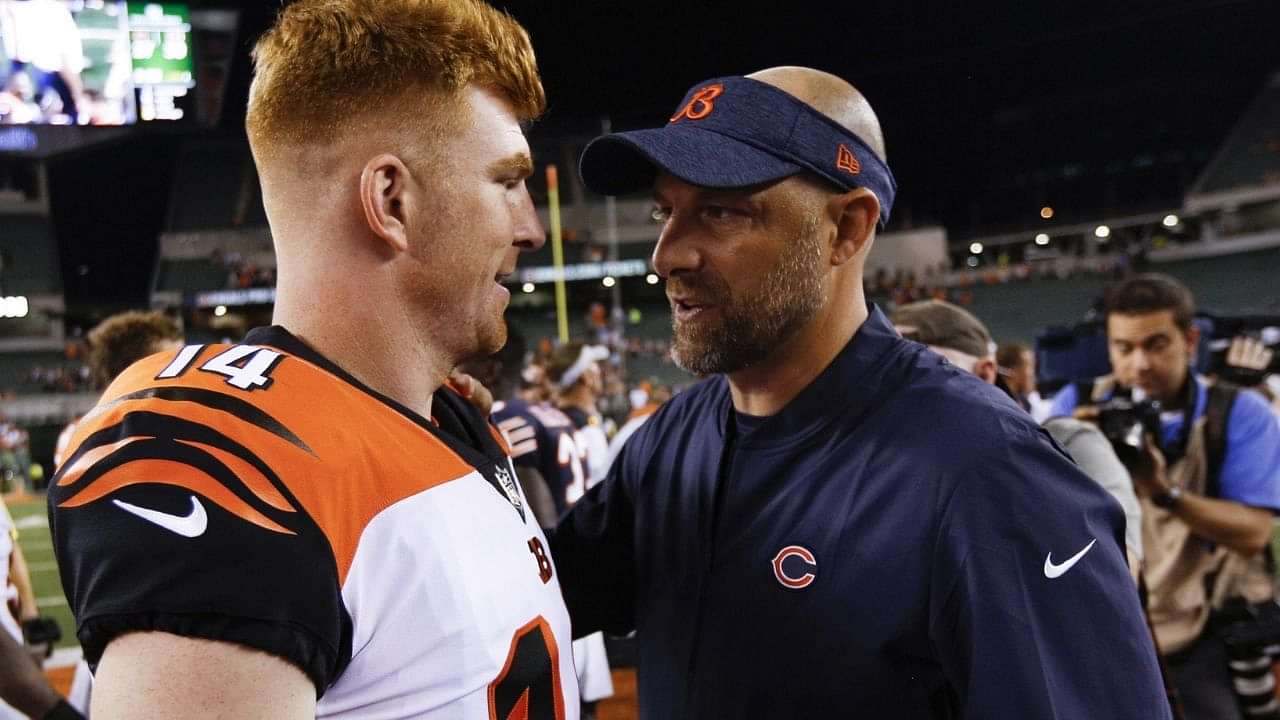 Andy Dalton Bears Jersey