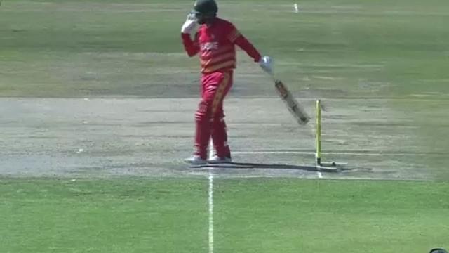 Brendan Taylor hit-wicket vs Bangaldesh: Zimbabwean captain's unusual dismissal in Harare ODI sparks debate