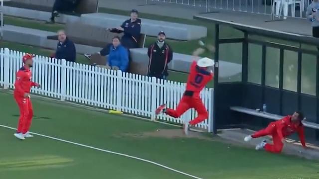 Marsh One Day Cup: 3 South Australia fielders attempt to grab bizarre catch vs Queensland in Australia One Day Cup