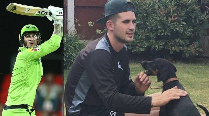 English batter Alex Hales has denied all the racial allegations put upon him by Azeem Rafiq on naming his dog 'Kevin'.