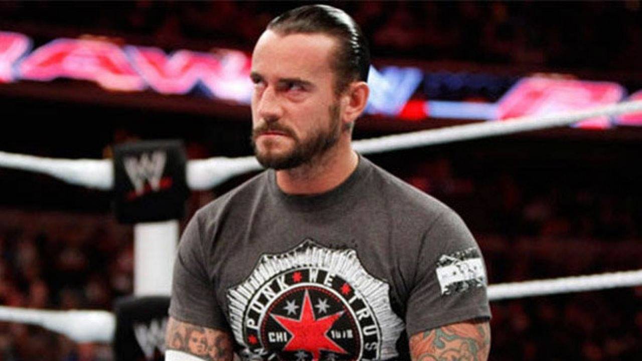 Former WWE Superstar refused to sell for CM Punk because of their size difference