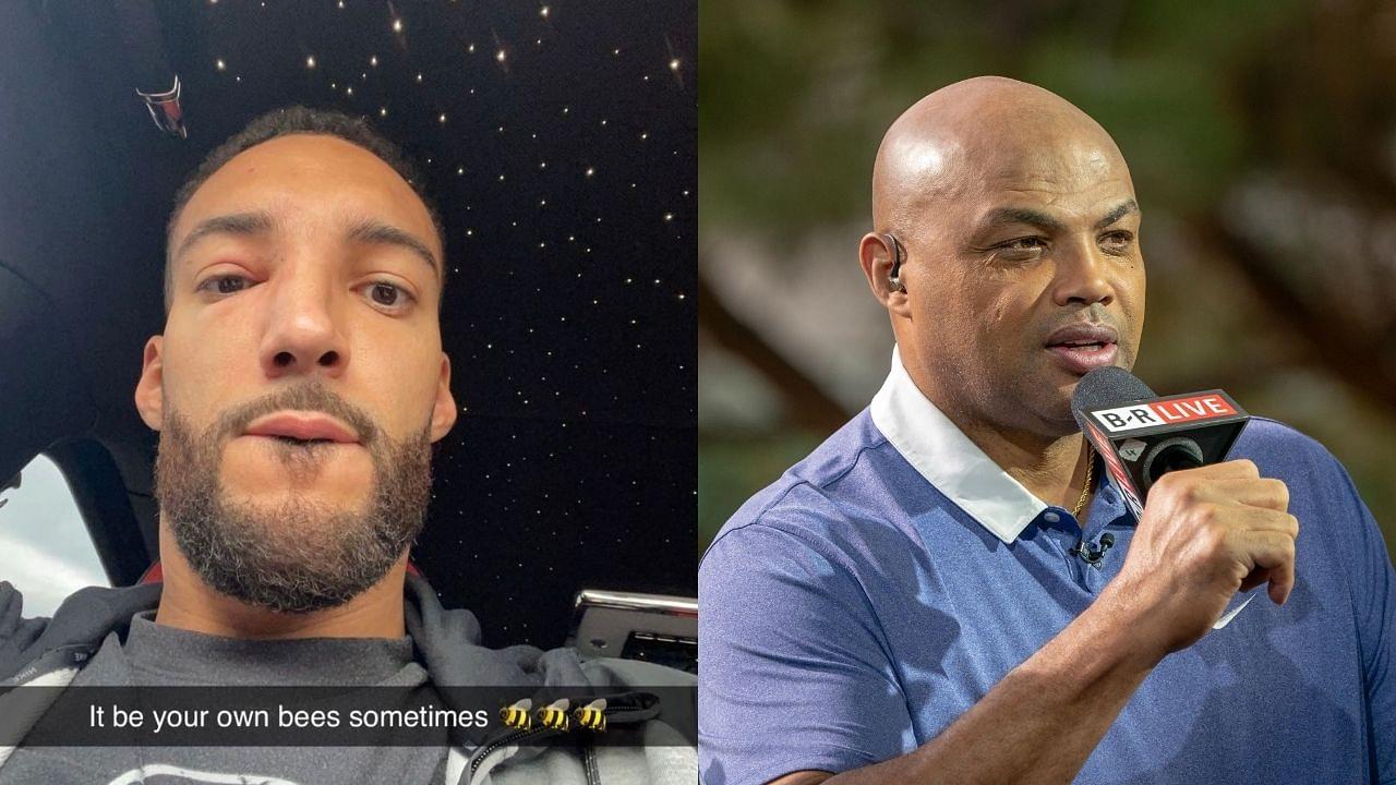 "Rudy Gobert makes $30M a year, go down to some supermarket and get some honey": Charles Barkley sounds off on the Jazz big man for being stung by his pet bee