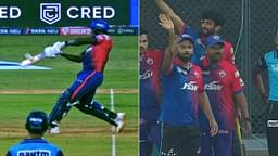 Waist height no ball rules in cricket: Was it a no ball when Rishabh Pant asked Rovman Powell to forfeit Delhi vs Rajasthan IPL 2022 match?