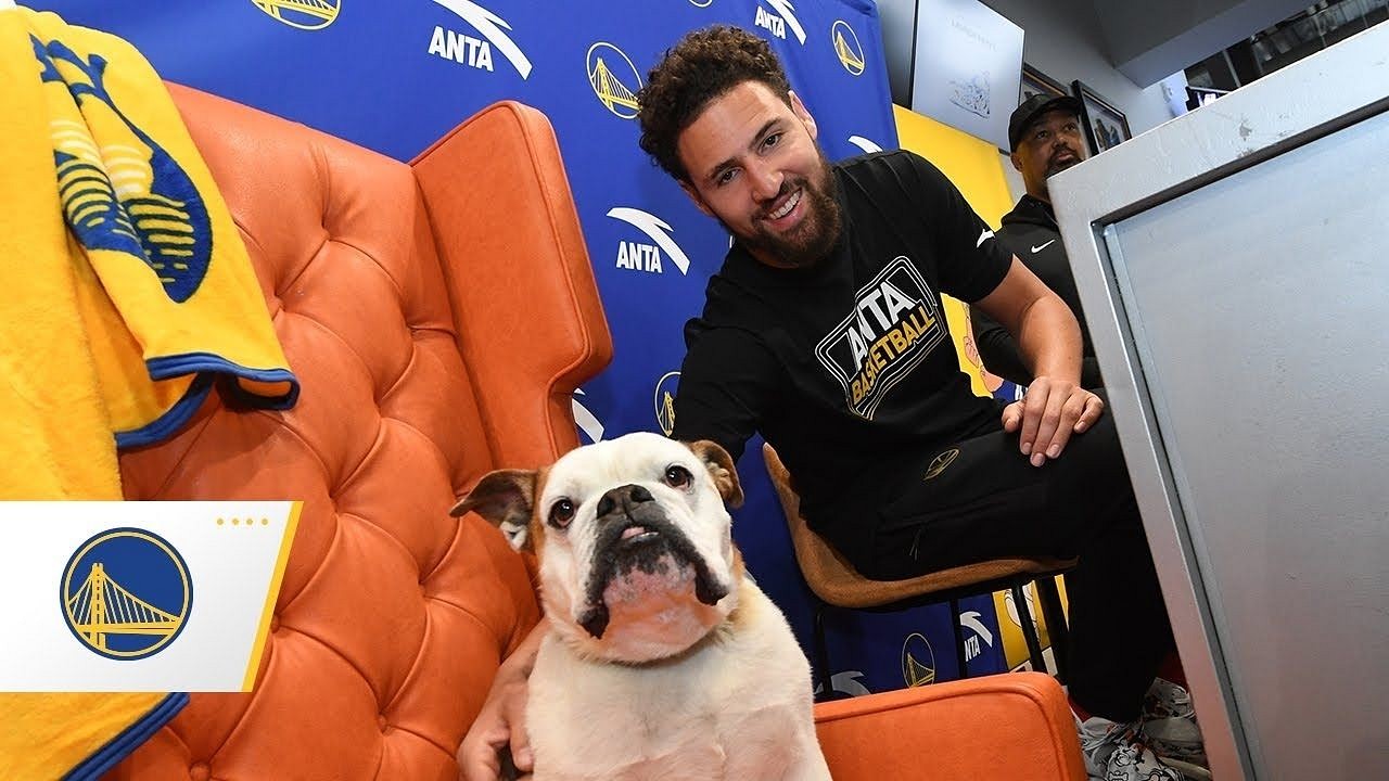 Rocco would be turning 10 on 4/20, and I'm so grateful to have a healthy  bulldog!": Warriors' Klay Thompson appreciates a question about his dog,  gives updates about the fan favorite canine -