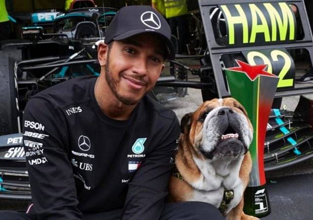 "Roscoe gets paid $700 dollars a day! It’s ridiculous, he loves it": Lewis Hamilton reveals how his bulldog Roscoe earns more than average human