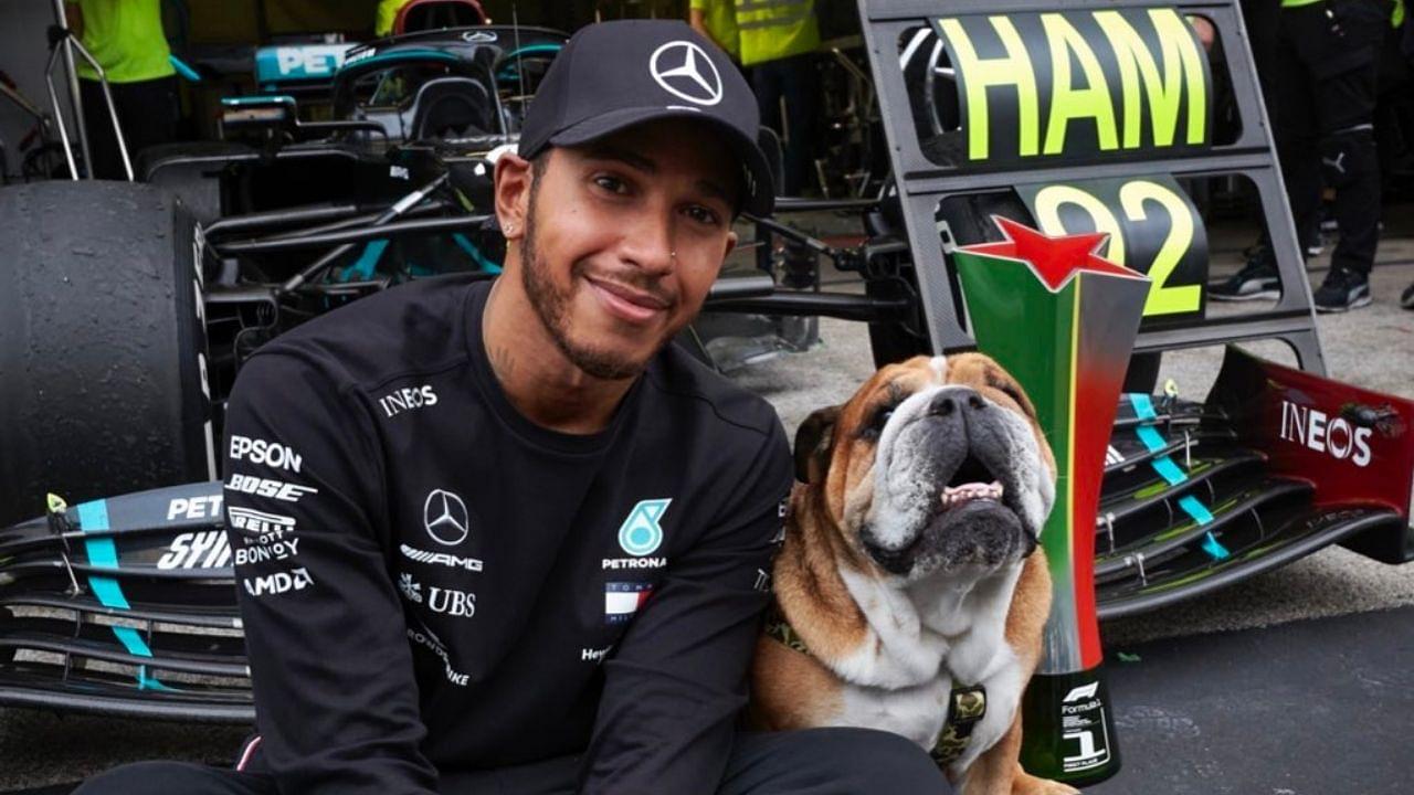 "Roscoe gets paid $700 dollars a day! It’s ridiculous, he loves it": Lewis Hamilton reveals how his bulldog Roscoe earns more than average human